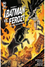 copy of BATMAN VS LOBO...