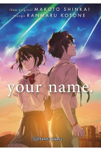 YOUR NAME INTEGRAL